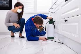 Best Fumigation Services  in Pinch, WV